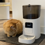 Autofeeder™ - Automatisches Fütterungssystem für Ihr Haustier