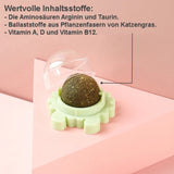 HealthyToy™ | Vitaminball für Katzen (3er Pack)