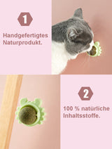 HealthyToy™ | Vitaminball für Katzen (3er Pack)