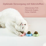 HealthyToy™ | Vitaminball für Katzen (3er Pack)