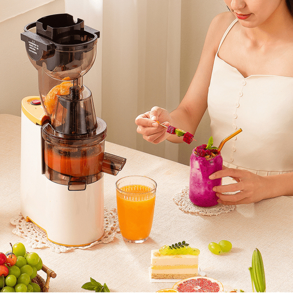 ColdPressJuicer™ - Einfache Zubereitung kalter Säfte