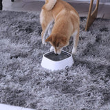 DogBowl™ - Anti-Überlauf-Tier-Wasserschüssel